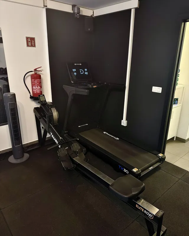 Zone cardio : tapis de course, rameur et ventilateur